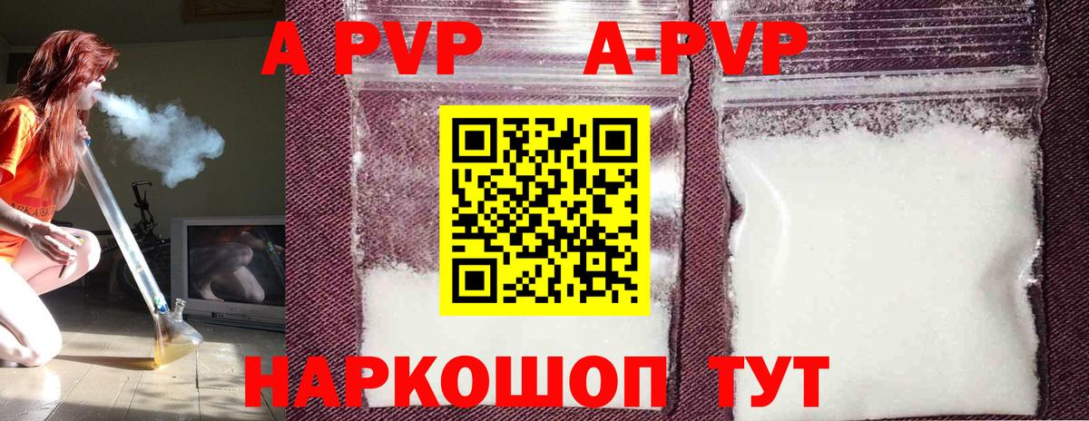 Курчалой  A PVP СК  A PVP  APVP СК КРИС  Вход с VPN  Альфа ПВП СК КРИС 
