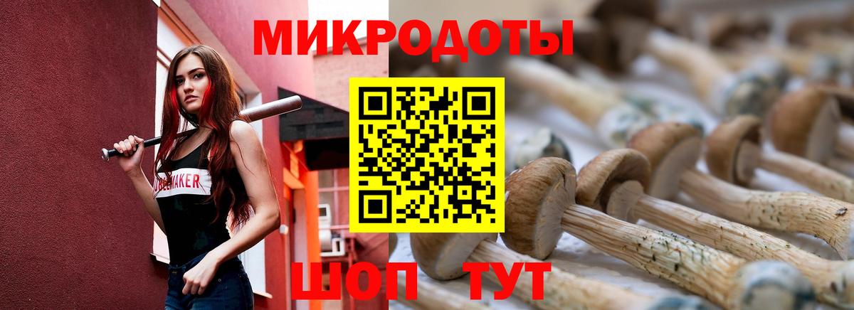 Галлюциногенные грибы Psilocybine cubensis Курчалой