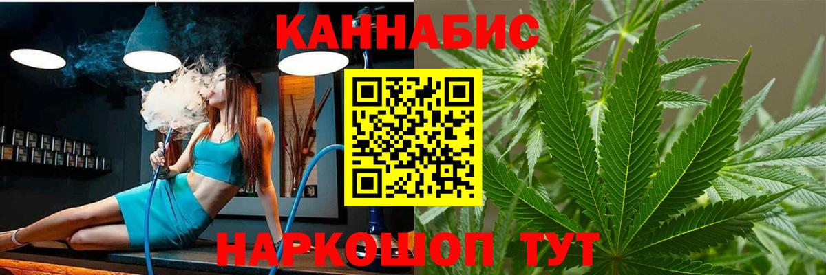 Конопля MAZAR Курчалой